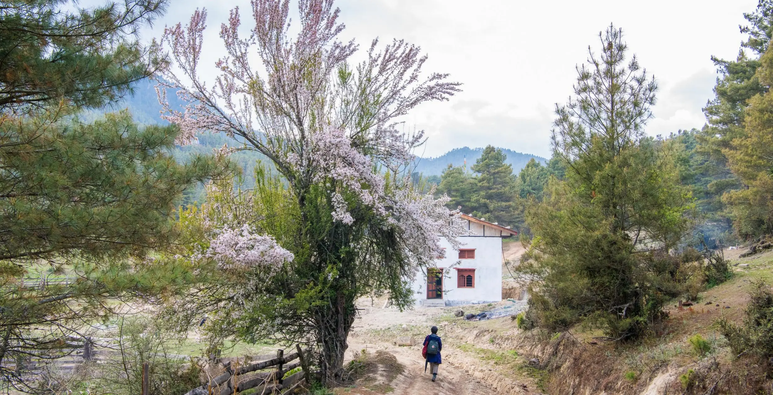 Blogs Bhutan