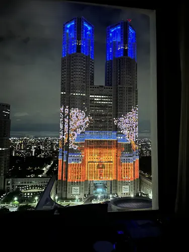 Eine von vielen Lichtprojektionen am Government Building