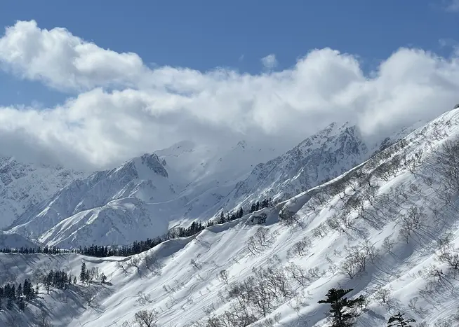 Ski and Snow Japan Ski and Snow Japan