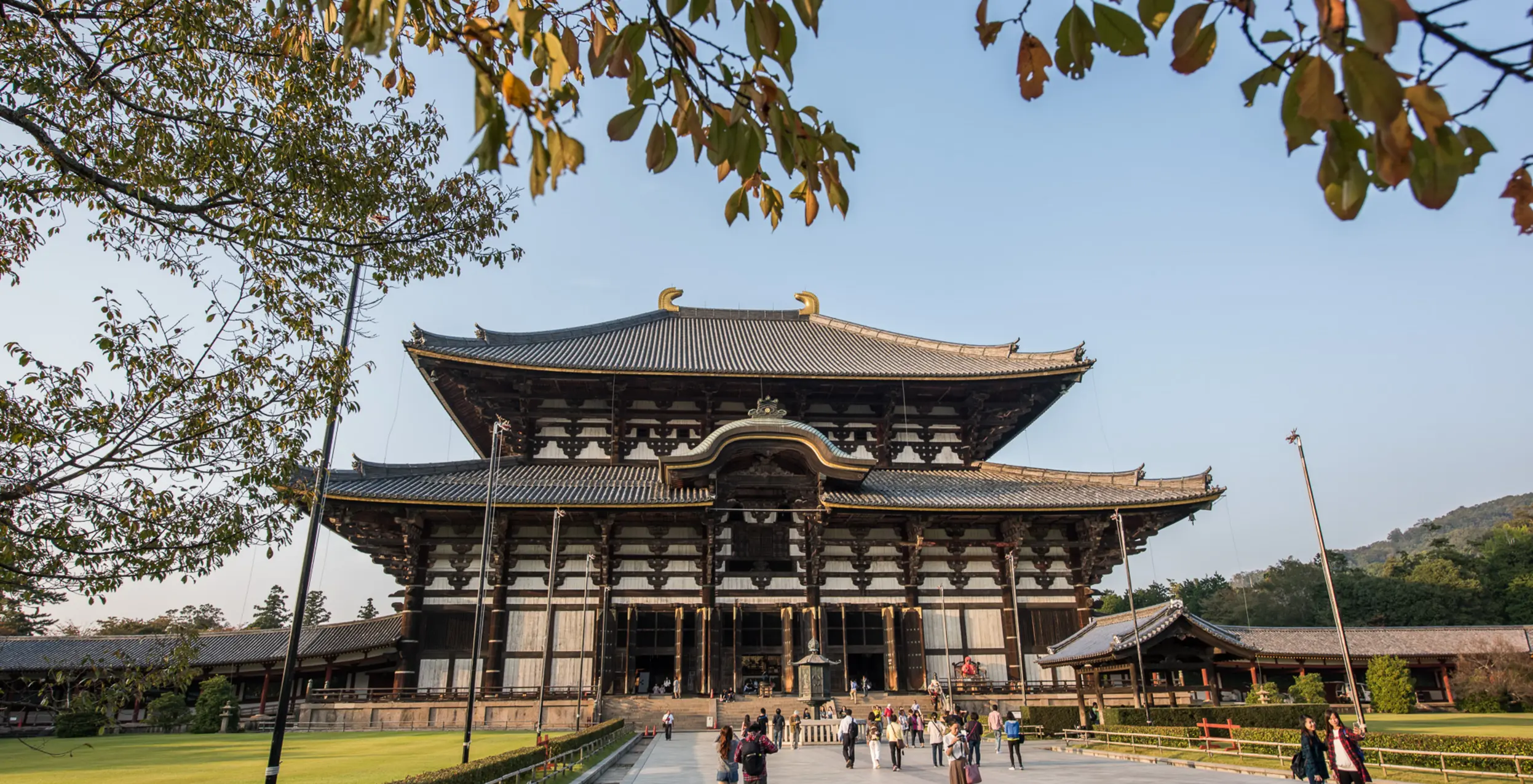 Blogs Japan