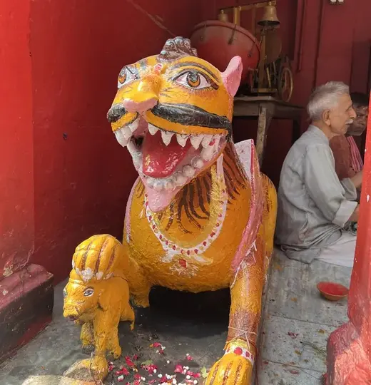 Unverfälschtes Indien