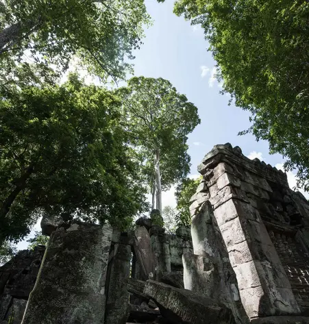 Von Laos nach Kambodscha free & easy