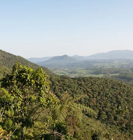 Tee-Tour Sri Lanka