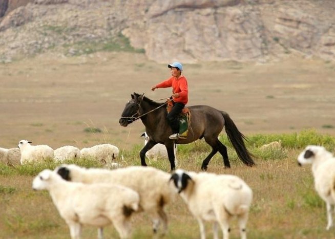 Durch weite Steppe und die Wüste Gobi Durch weite Steppe und die Wüste Gobi