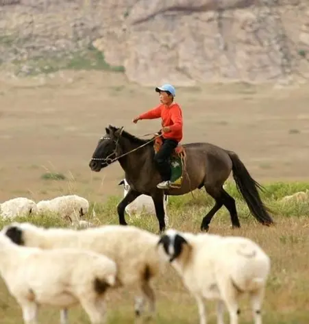 Durch weite Steppe und die Wüste Gobi
