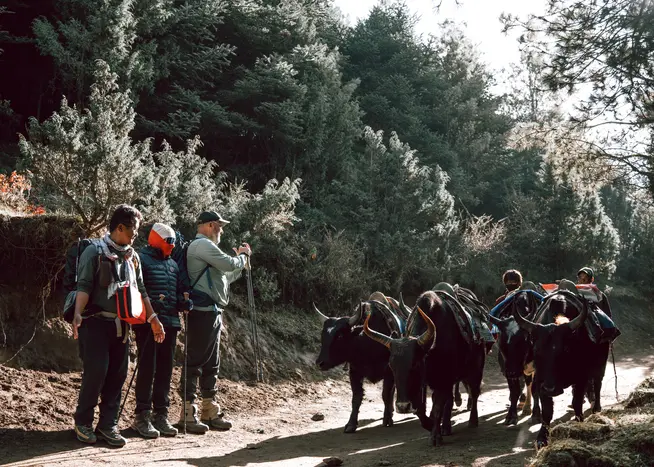 Trekking Langtang Trekking Langtang
