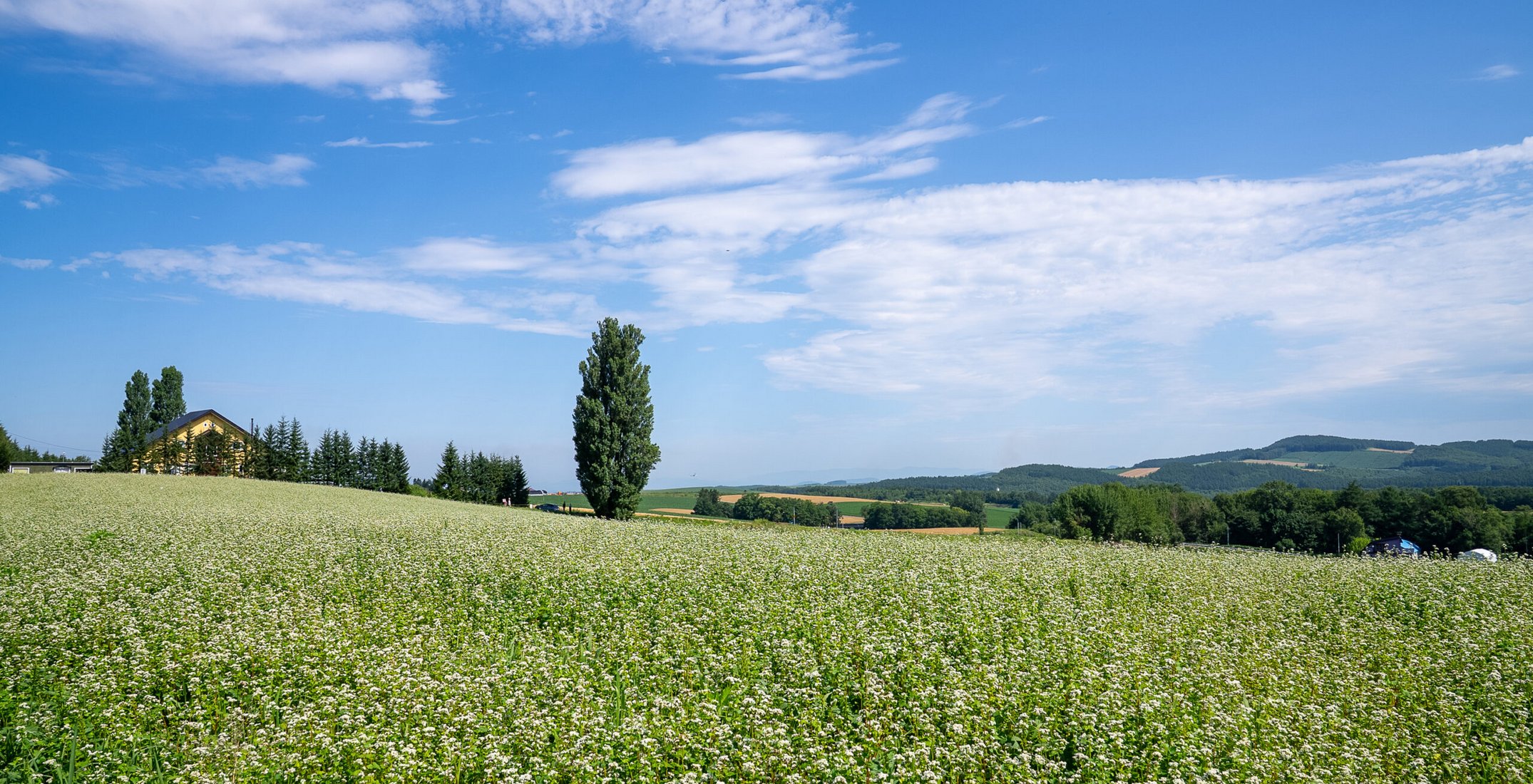 Naturwunder Hokkaido aktiv erleben Naturwunder Hokkaido aktiv erleben