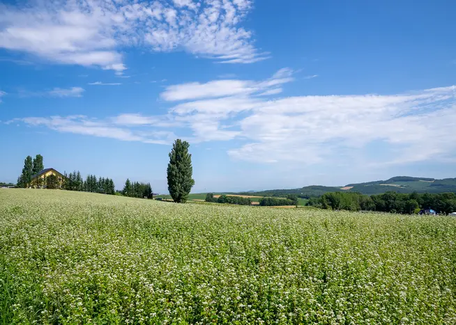 Naturwunder Hokkaido aktiv erleben Naturwunder Hokkaido aktiv erleben