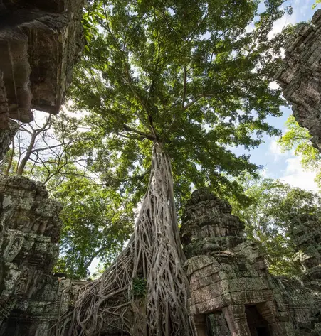 Erlebnisreise Laos und Kambodscha