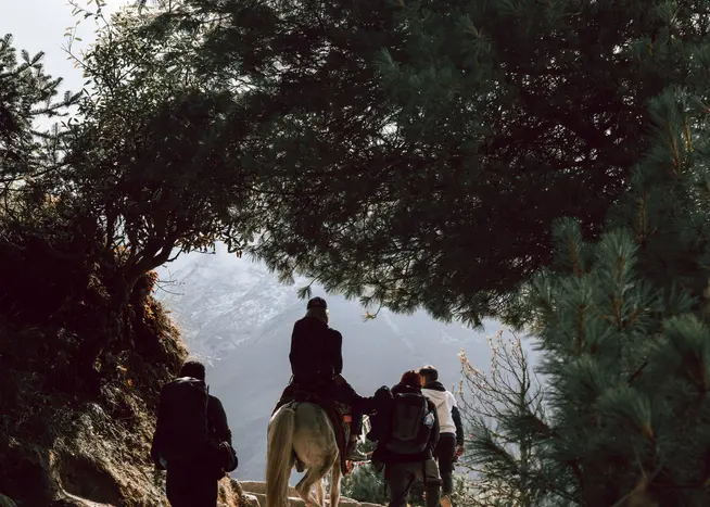 Trekking Langtang Trekking Langtang