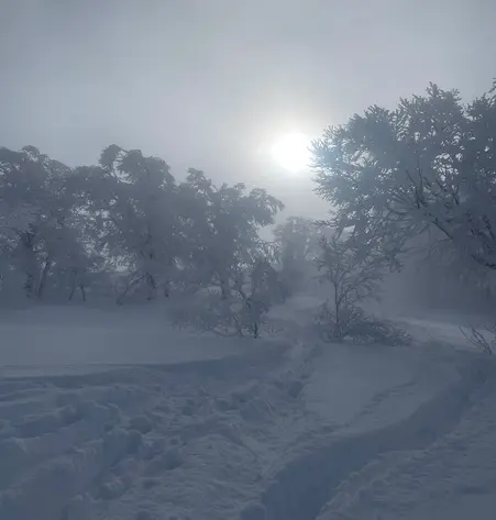 Ski and Snow Japan