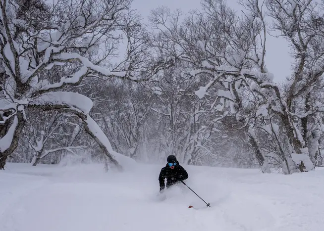 Skisafari Hokkaido Skisafari Hokkaido