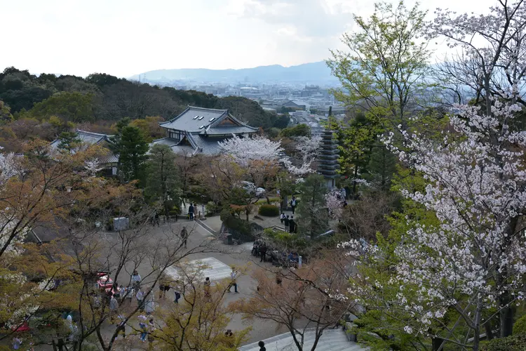 Bilder Kirschblüten Kyoto Bilder Kirschblüten Kyoto