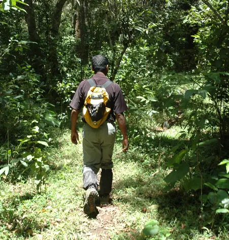 Trekking in Kerala