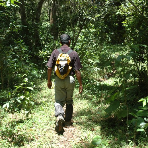 Trekking in Kerala Trekking in Kerala