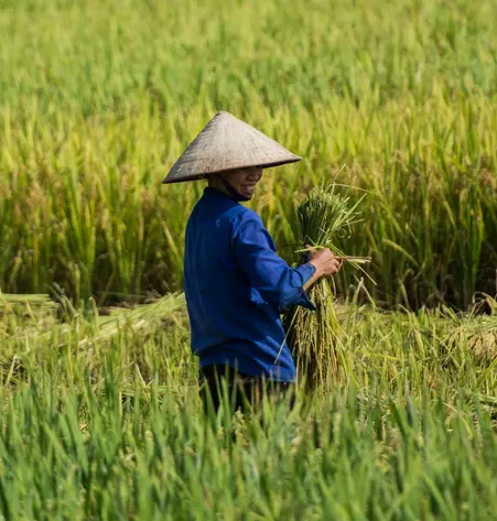 Faszinierendes Vietnam