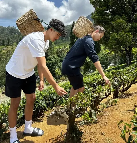 Nach der Matur auf eine Sri Lanka Reise