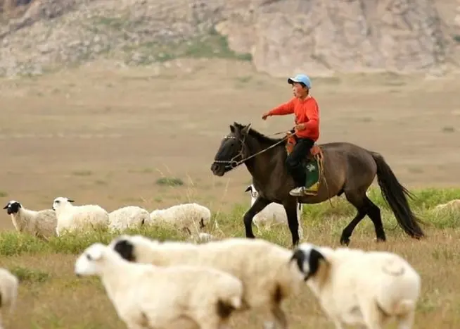 Mongolei - Jurtenleben in weiter Steppe
