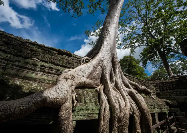 Buddhistische Kulturen Südostasiens