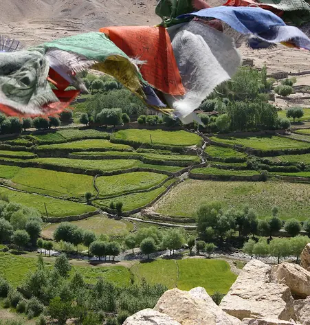 Glamping Ladakh