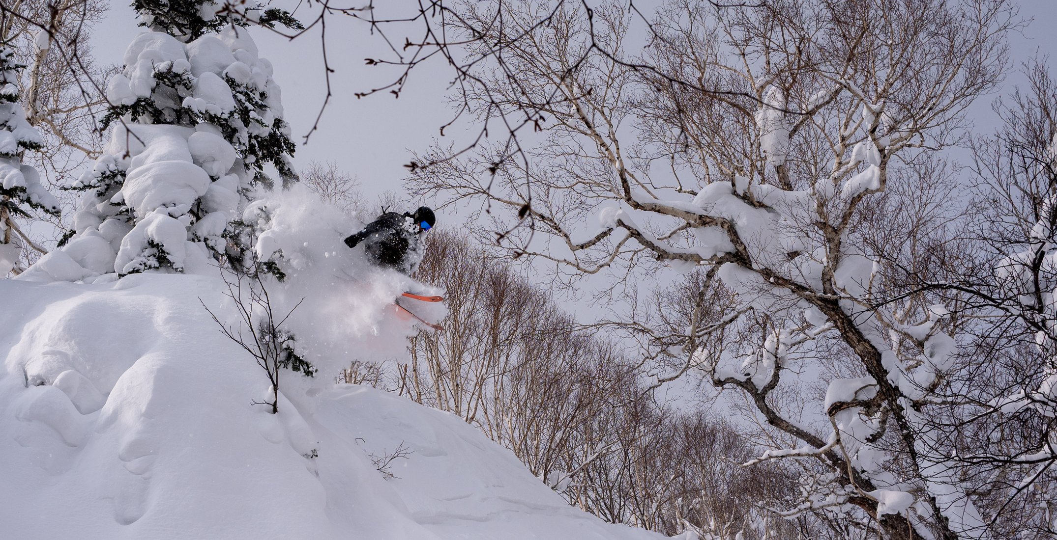 Skisafari Hokkaido Skisafari Hokkaido