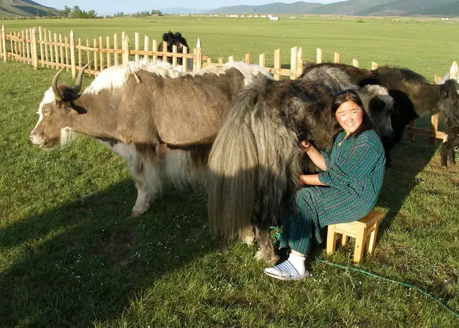 Durch weite Steppe und die Wüste Gobi Durch weite Steppe und die Wüste Gobi