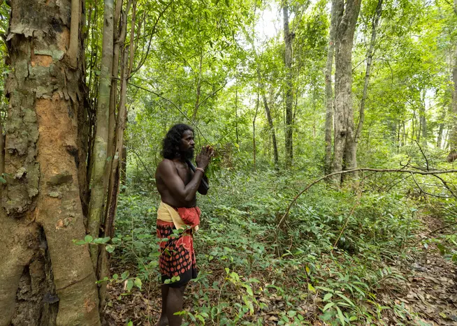 Sri Lanka – Zwischen Natur, Begegnungen und stilvollem Reisen Sri Lanka – Zwischen Natur, Begegnungen und stilvollem Reisen