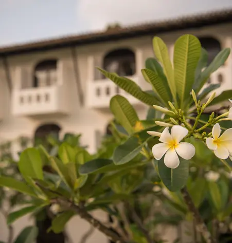 Sri Lanka mit Ostküste