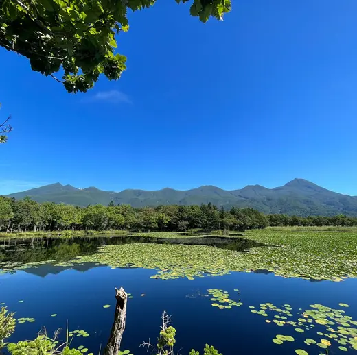 Naturwunder Hokkaido aktiv erleben