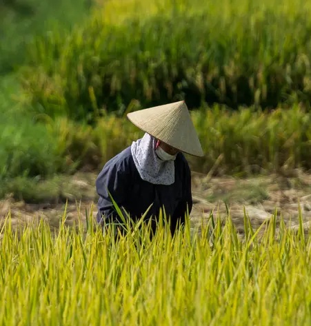 Sommerreise Vietnam mit Badeferien