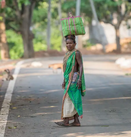 Madhya Pradesh und Odisha
