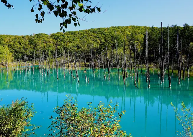 Naturwunder Hokkaido aktiv erleben Naturwunder Hokkaido aktiv erleben