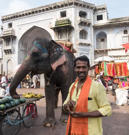 Entdeckungsreise durch Gujarat
