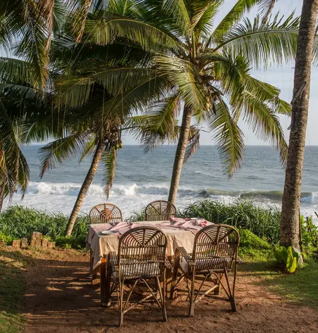 The Best of Kerala