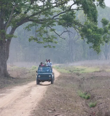Safari im Kanha-Nationalpark