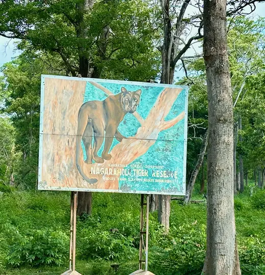 Kabini erleben: Zwischen Tigerpfaden und Luxuslodges im Nagarhole Nationalpark