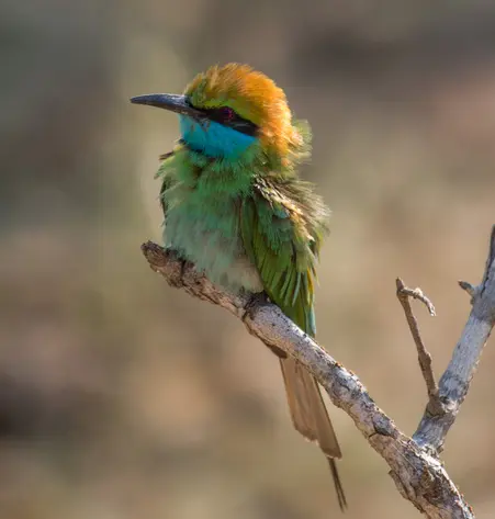 Unbekannter Norden Sri Lankas