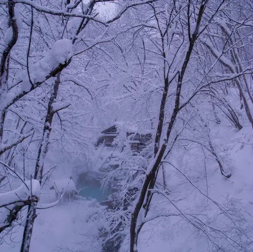 Wintertraum Japan