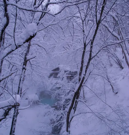 Wintertraum Japan