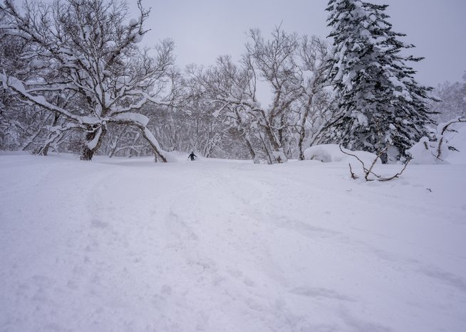 Skisafari Hokkaido Skisafari Hokkaido