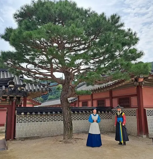 Asienreise hautnah – Teil 3: Korea