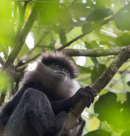 Trekking in Sri Lanka