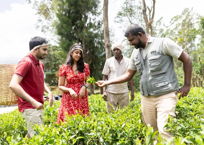 Sri Lanka – Zwischen Natur, Begegnungen und stilvollem Reisen Sri Lanka – Zwischen Natur, Begegnungen und stilvollem Reisen