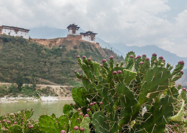Spirit of Bhutan Spirit of Bhutan