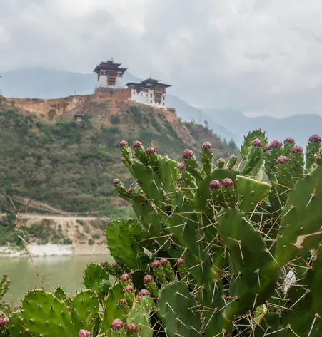 Spirit of Bhutan