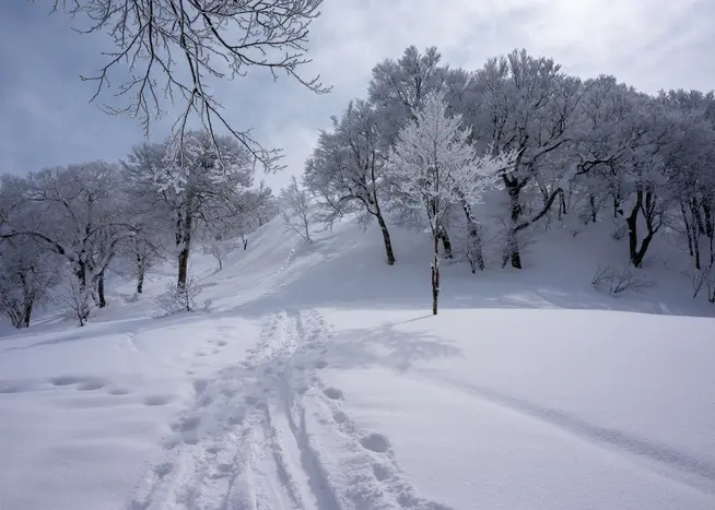 Freeride Japan: Pulverschnee vor den Toren Tokyos Freeride Japan: Pulverschnee vor den Toren Tokyos