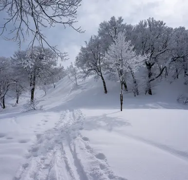 Winter in Japan Winter in Japan