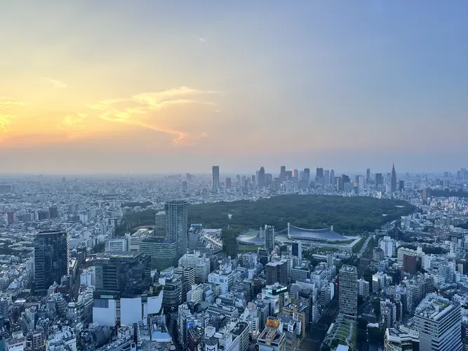 Panorama von oben auf Tokio
