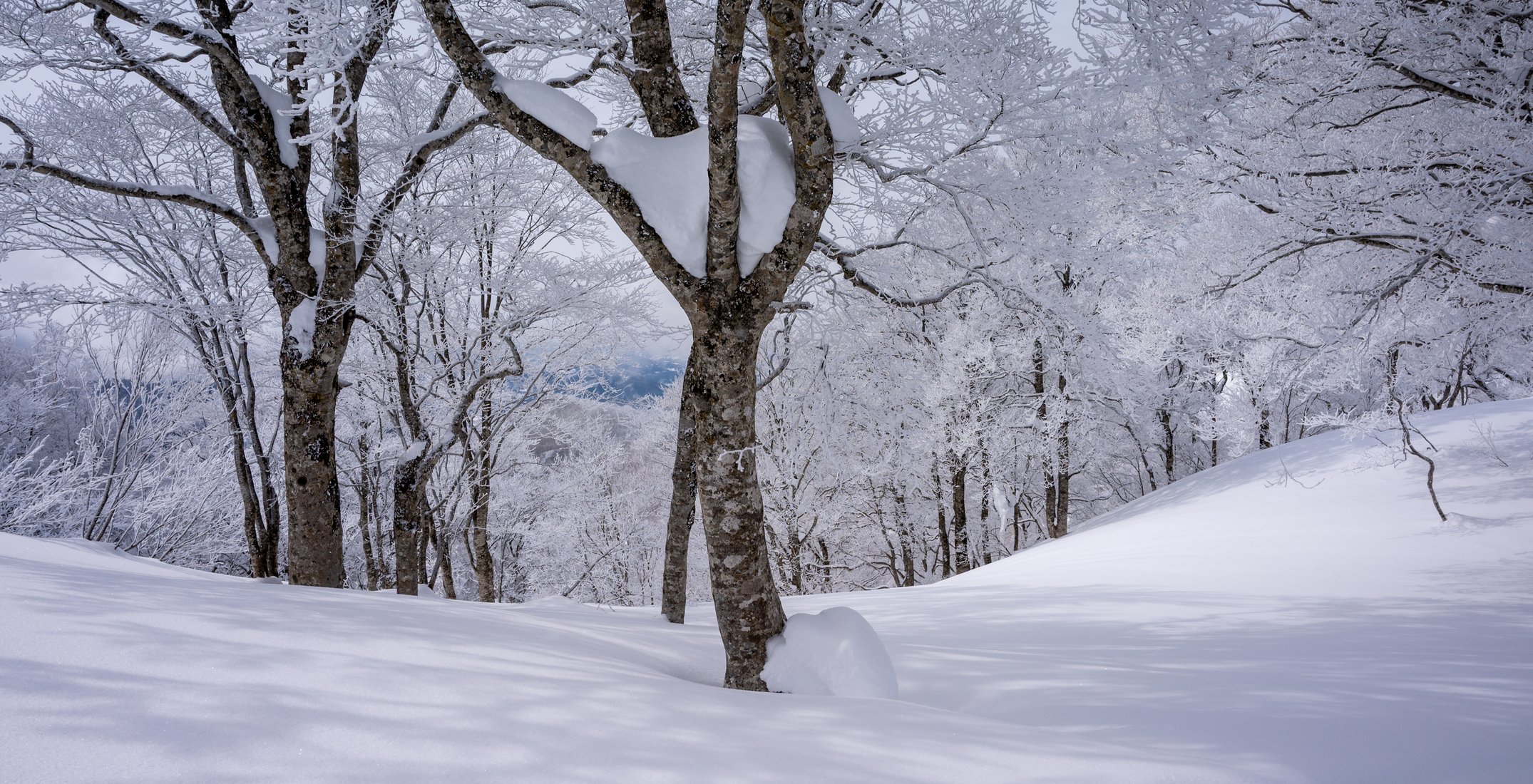 Wintertraum Japan Wintertraum Japan