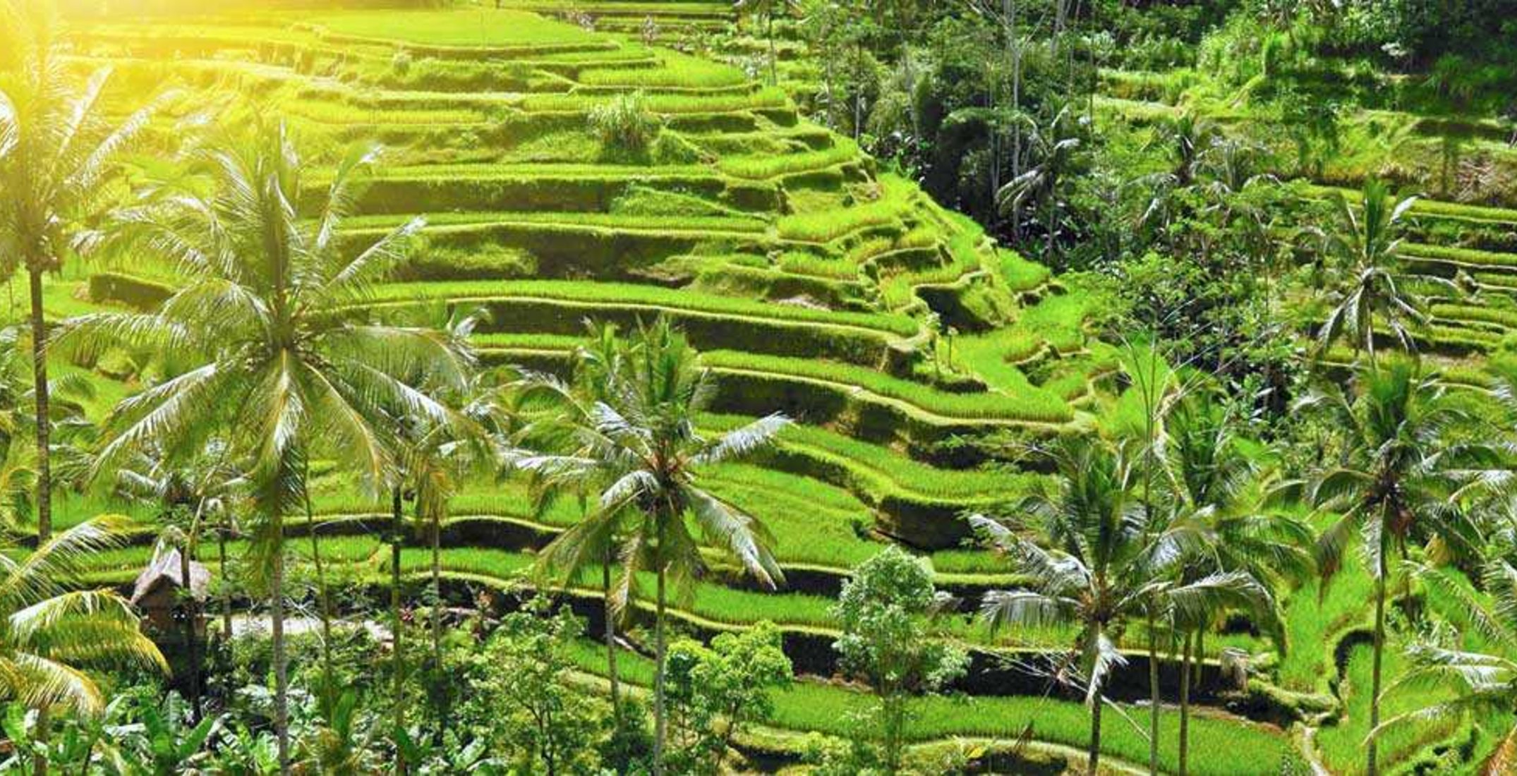 Indonesien - Regenwald, Vulkane und Inselträume